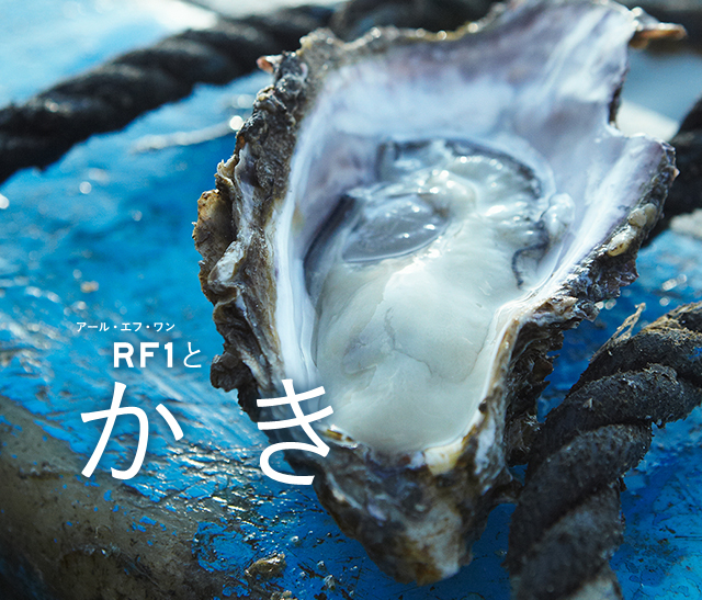 RF1とかき