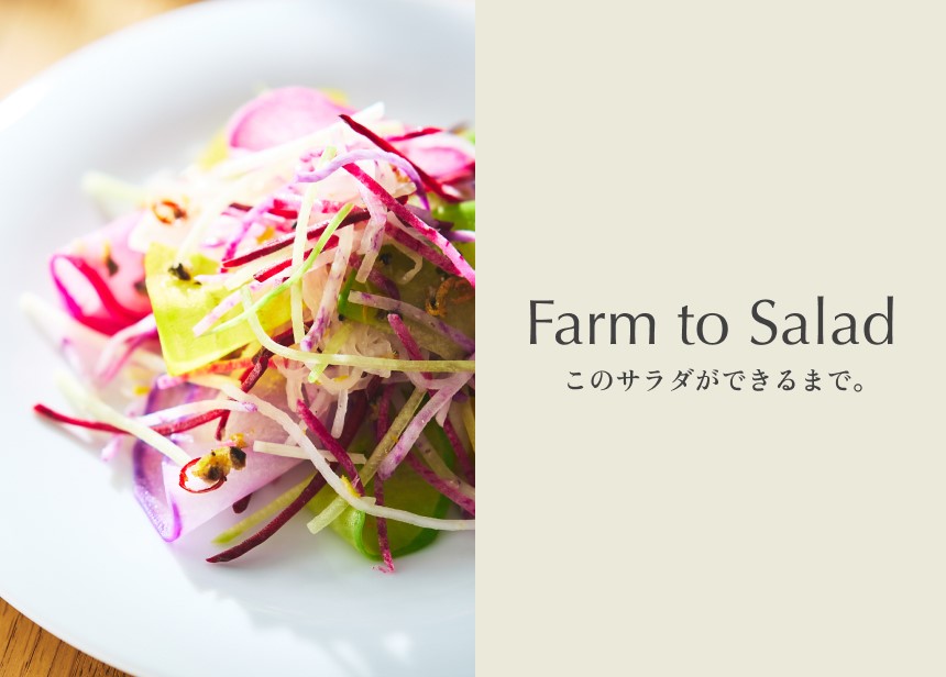 Farm to Salad このサラダができるまで。