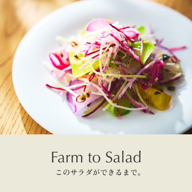 Farm to Salad このサラダができるまで。