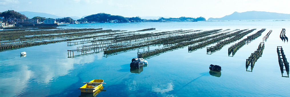 ふくらみがあり濃厚な味わいの広島県産