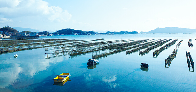 ふくらみがあり濃厚な味わいの広島県産