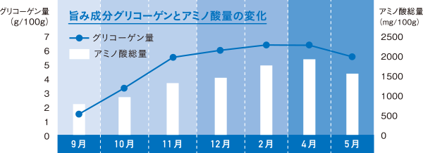 旨み成分グリコラーゲンとアミノ酸量の変化