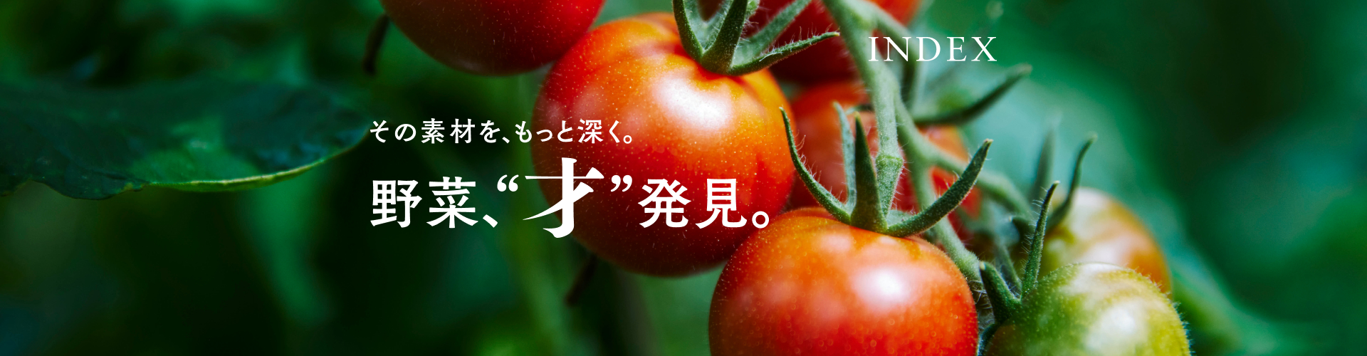 KOGATOMATO レギュラー4kg箱｜古賀とまと農園