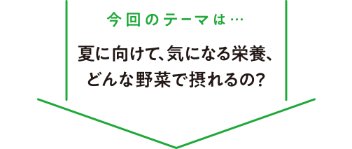 今回のテーマは… 夏に向けて、気になる栄養、どんな野菜で摂れるの？