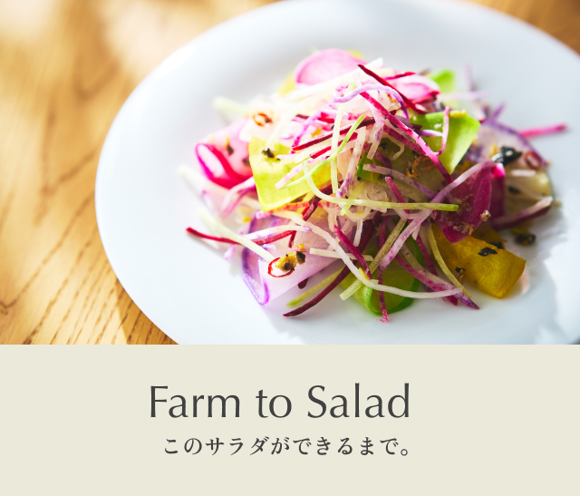 Farm to Salad このサラダができるまで。