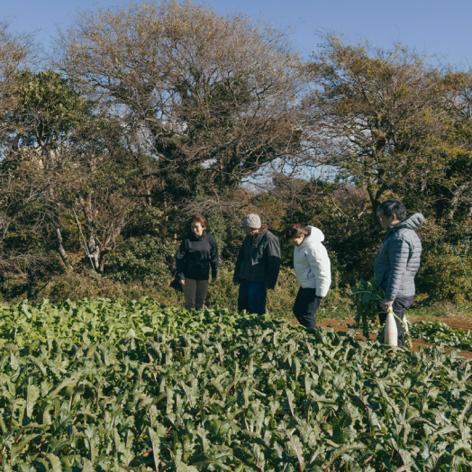 青木農園の畑の写真