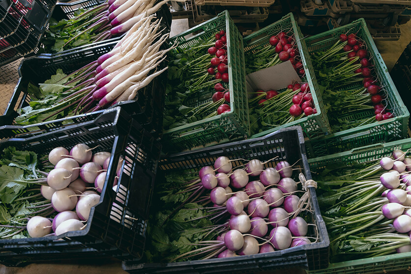 青木農園の冬野菜の写真