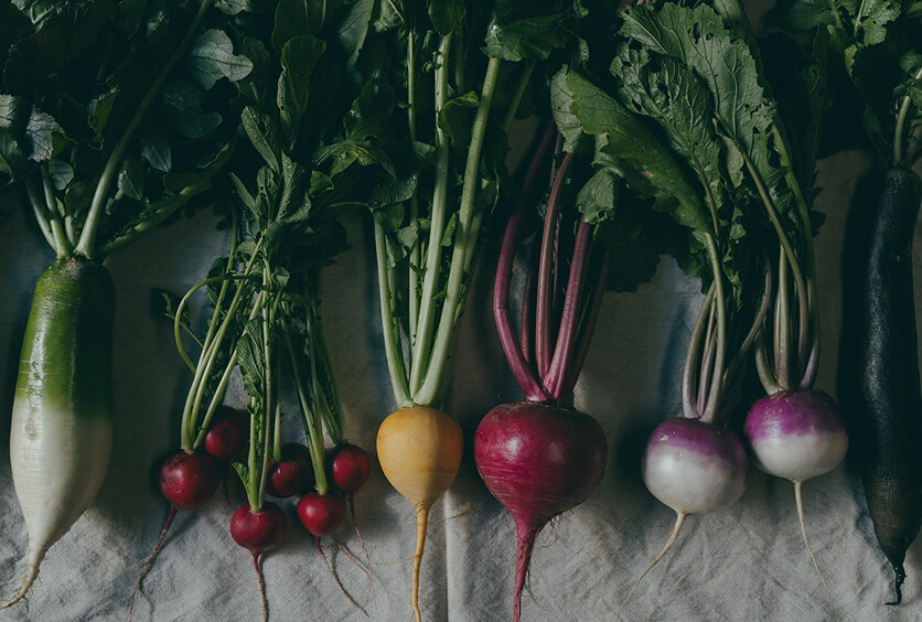 青木農園の冬野菜の写真