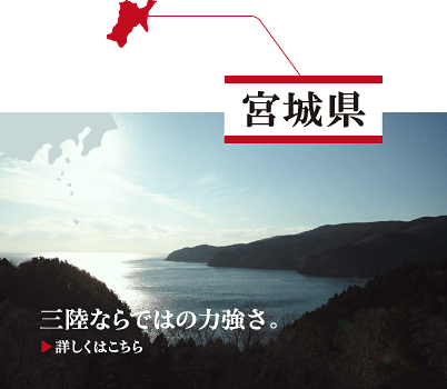 宮城県　三陸ならではの力強さ。